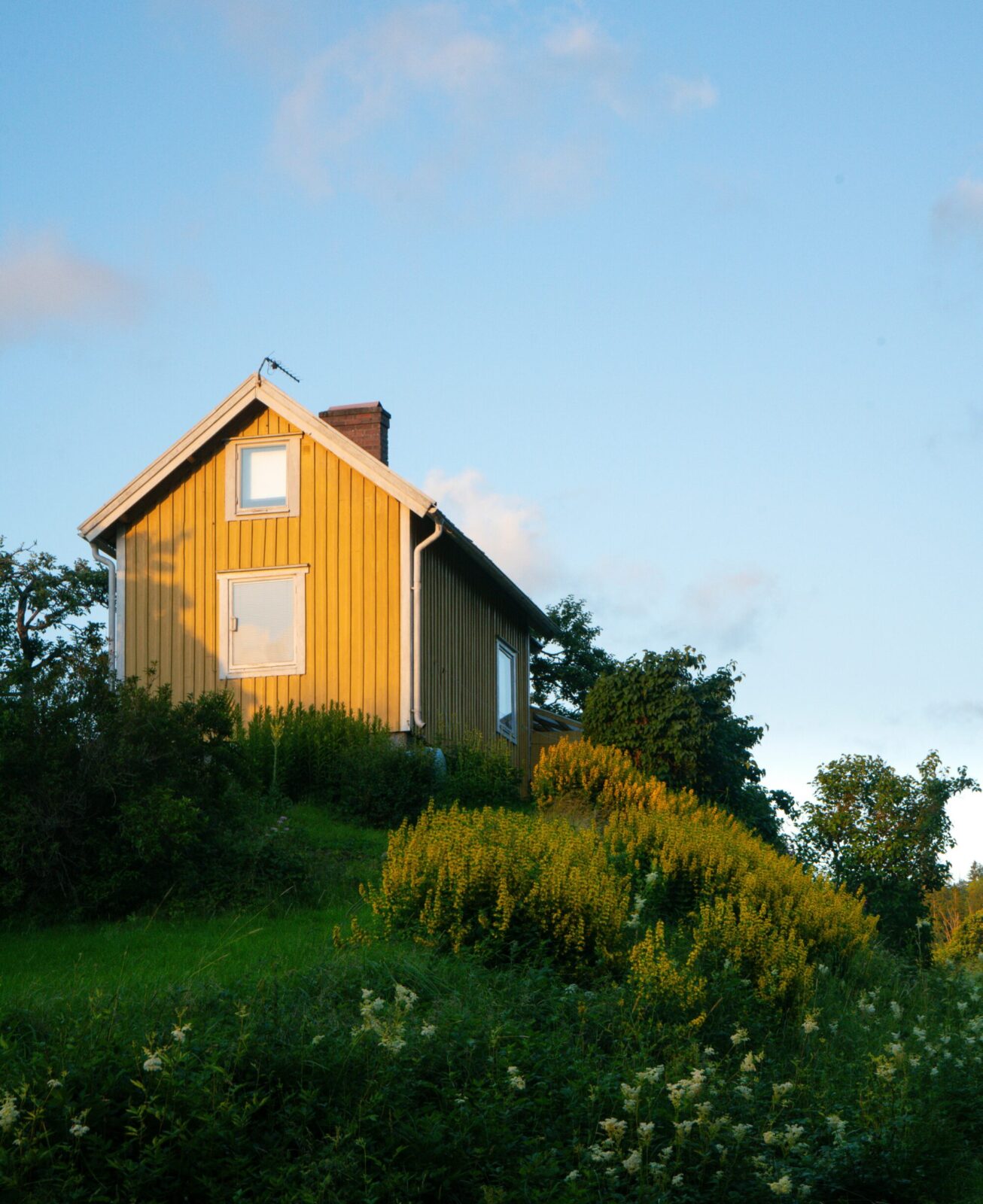 Så ofta bör fasaden målas om för att hålla länge
